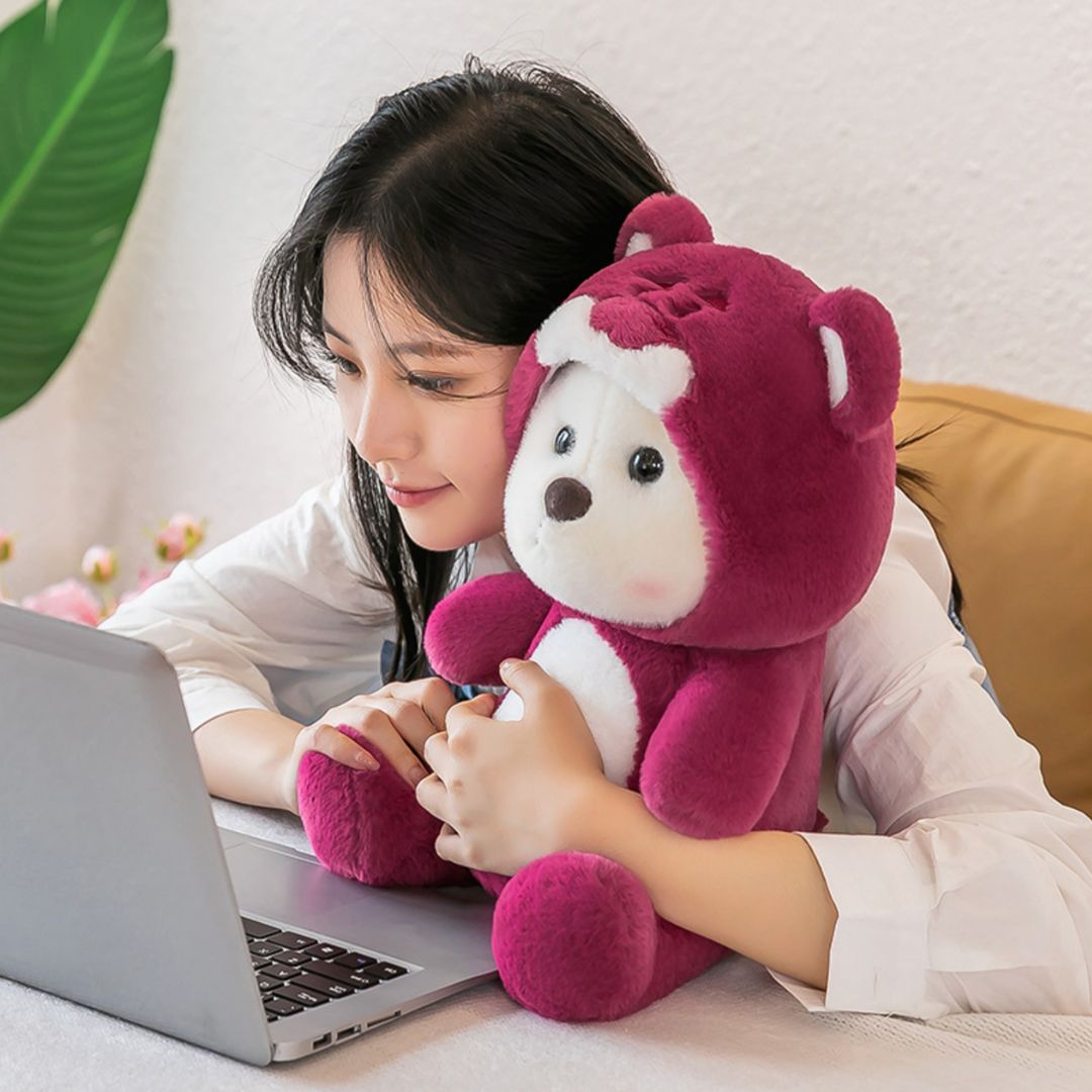 Hoodie Teddy Bear Plush